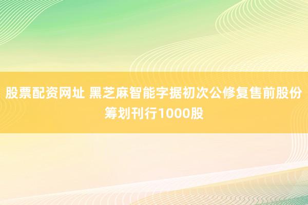 股票配资网址 黑芝麻智能字据初次公修复售前股份筹划刊行1000股
